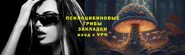 дурь Ельня
