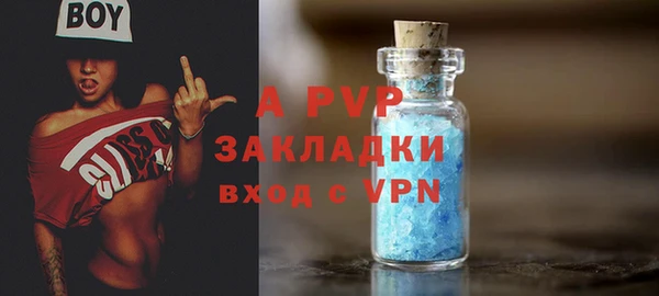 дурь Ельня