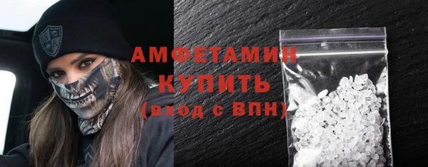 дурь Ельня