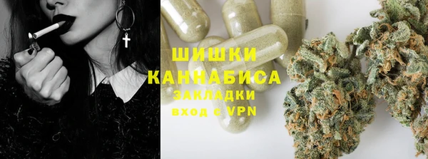 дурь Ельня
